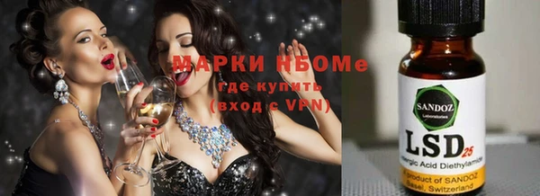 ПСИЛОЦИБИНОВЫЕ ГРИБЫ Абаза