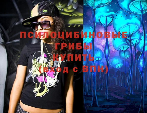 ПСИЛОЦИБИНОВЫЕ ГРИБЫ Абаза