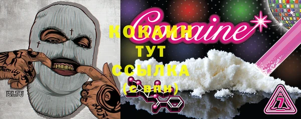 ПСИЛОЦИБИНОВЫЕ ГРИБЫ Абаза