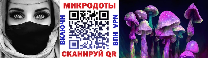 Псилоцибиновые грибы прущие грибы  что такое   Иваново 